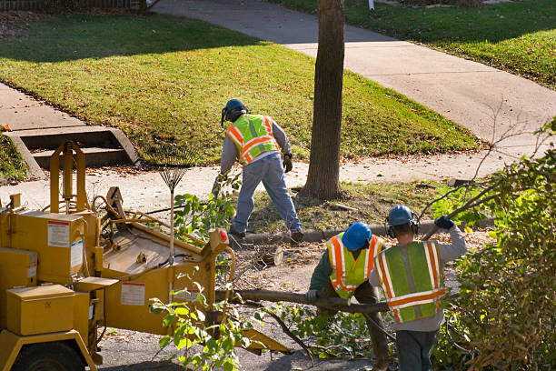 Best Storm Damage Tree Cleanup  in Tifton, GA