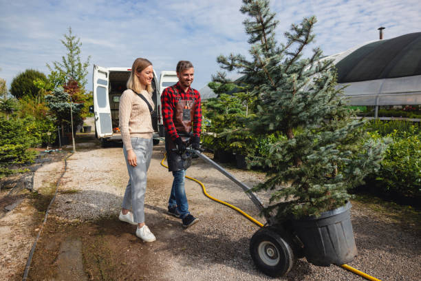 Best Hazardous Tree Removal  in Tifton, GA