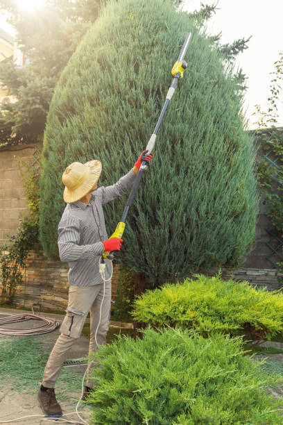 Best Soil Testing and Treatment  in Tifton, GA